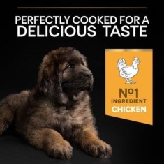 Pro Plan Large Robust Puppy Healthy Start Chicken Dry Dog Food - 3kg