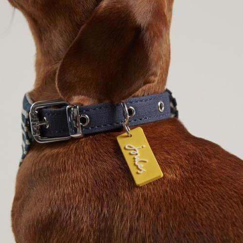 Zoon Dog Accessories
