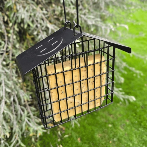 Tom Chambers Feeders & Feeding Stations