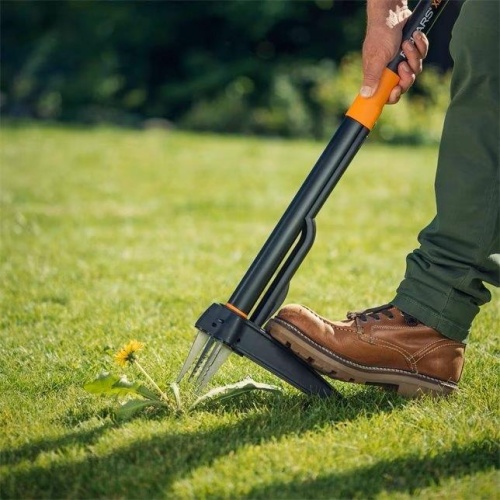 Garden Tools & Maintenance