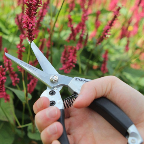 Wilkinson Sword Secateurs, Shears & Loppers