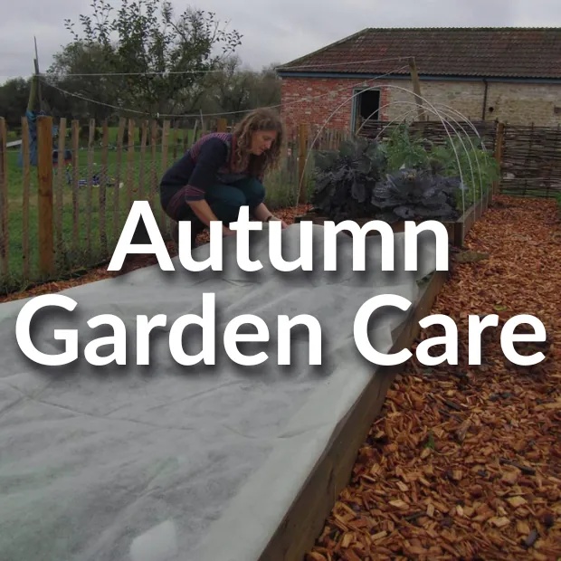 How to Prepare Your Garden for Winter: Essential Autumn Garden Tips