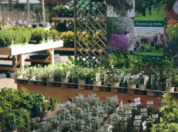 Our Garden Centre is home to some of the biggest ranges of Garden Furniture and Garden Machinery in the East Midlands.
We've great displays of beautiful plants - indoor and out, everything you need for your pets and to attract wild birds and nature to your garden, plus an impressive array of barbecues and garden lighting and accessories.
After all that take a wander through our lovely Food Hall before taking a relaxing break in our Cafe.