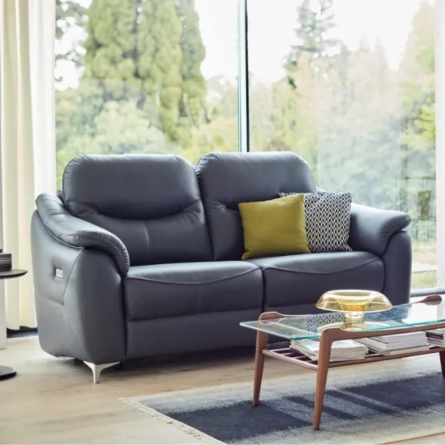 Leather Sofas