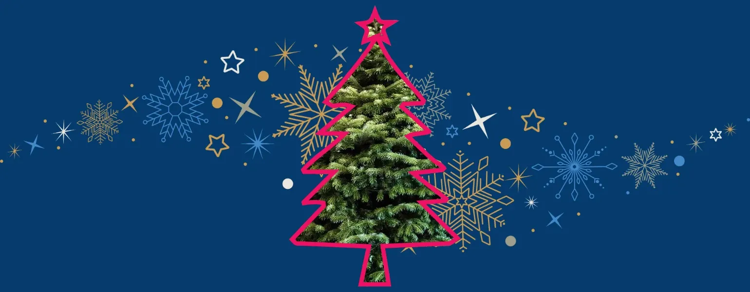 Prices start from £29.99 to £59.99 and tree height varies from 150cm to 240cm.

Premium Nordmann Fir
• 150–175cm: £36.99
• 175–200cm: £49.99
• 200–240cm: £59.99

Simply Nordmann Fir
• 160–200cm: £29.99
• 200–240cm: £44.99

Available only at Downtown Garden Centre, whilst stocks last.
