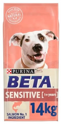 Beta salmon dog food cheap