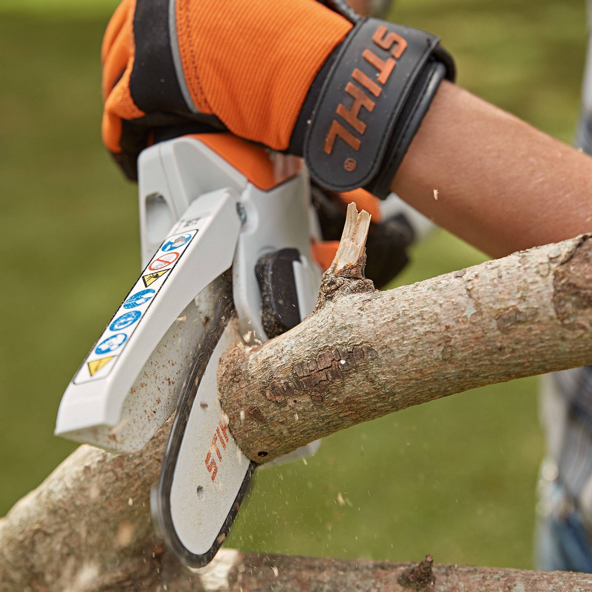 Stihl GTA 26 Cordless Hand Pruner Downtown