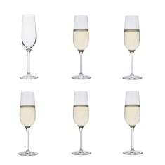 Dartington Champagne Flute Set Of 6 Dartington Champagne Flute Set Of 6
