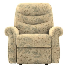 G Plan Holmes Chair G Plan Holmes Chair