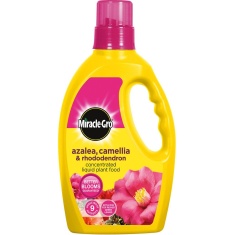 Miracle-Gro Azalea, Camellia & Rhododendron Concentrated Liquid Plant Food - 800ml Miracle-Gro Azalea, Camellia & Rhododendron Concentrated Liquid Plant Food - 800ml