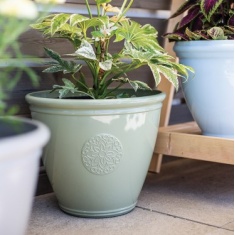 Kelkay Eden Emblem Planter - Green Kelkay Eden Emblem Planter - Green