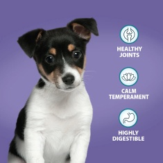 Burns Puppy Original Chicken Dog Food - 2kg
