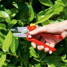 Wolf Garten RS2500 Anvil Secateurs