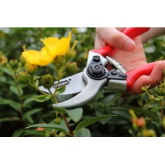 Darlac Expert Drop Forged Secateurs