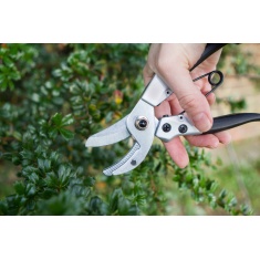 Darlac Compact Anvil Secateurs