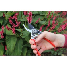 Darlac Small Bypass Secateurs