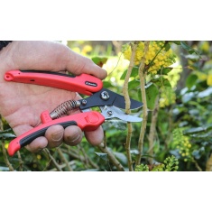 Darlac Compound Action Secateurs