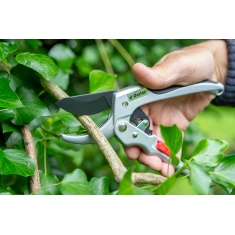 Darlac Super Classic Ratchet Secateurs