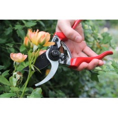 Darlac Professional Secateurs