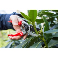 Darlac Professional Left Hand Secateurs