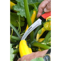 Darlac Harvest & Asparagus Knife