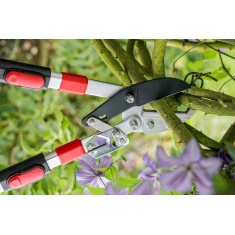 Darlac Telescopic Ratchet Lopper