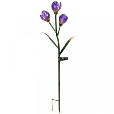 Smart Solar Crocus Solar Flower