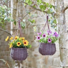 Smart Garden Basket Bouquets - Meadow