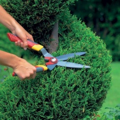 Wolf Garten Box Tree Shears