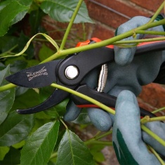 Wilkinson Sword Bypass Secateurs