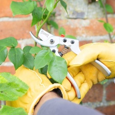 Wilkinson Sword Razorcut Comfort Large Bypass Secateurs