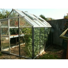Janssens Eos Junior Hobby 160/40 Tempered Glass Greenhouse