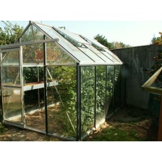 Janssens Eos Junior Hobby 160/40 Tempered Glass 8ft Wide Greenhouse