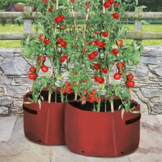 Haxnicks Patio Tomato Planters x2