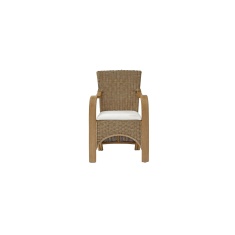 Daro Waterford Carver Dining Chair Natural Wash