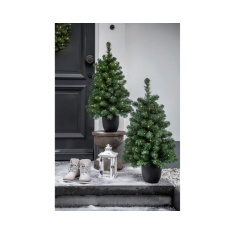 Imperial Pre-lit Potted Artificial Christmas Tree