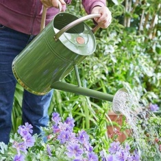 Smart Garden Watering Can - Sage 9L