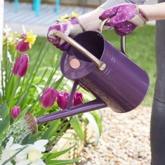 Smart Garden Watering Can - Violet 4.5L