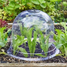 Smart Garden Bell Cloche