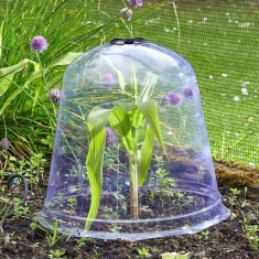 Smart Garden Jumbo Bell Cloche
