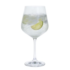 Dartington Cheers! Gin Copa 600ml Set Of 4