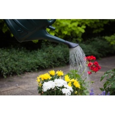 White Furze Rose Head For Watering Can - Black
