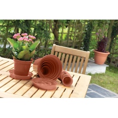 White Furze 7.5cm (3') Pots Set of 10 - Terracotta