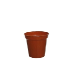 White Furze 15cm (6') Pots Set of 3 - Terracotta