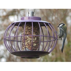 Nuttery Lantern Nut Aubergine