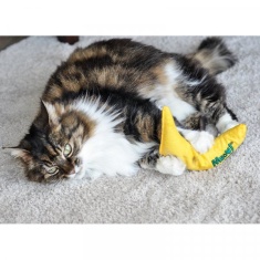 Zoon Pet Nip-It 100% Catnip Meow! Banana