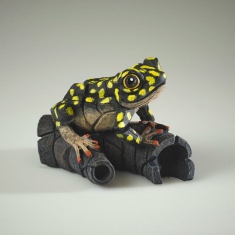 Edge Sculpture African Frog Yellow Spot