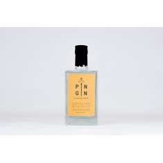 Pin Gin Valencian Orange Gin 70cl