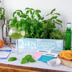 Unwins Gin Cocktail Garden Kit