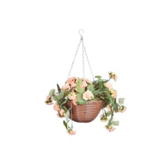 Smart Garden Regal Basket - Begonia Blooms